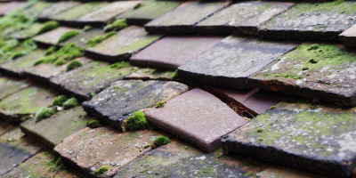 Hendy Gwyn roof repair costs
